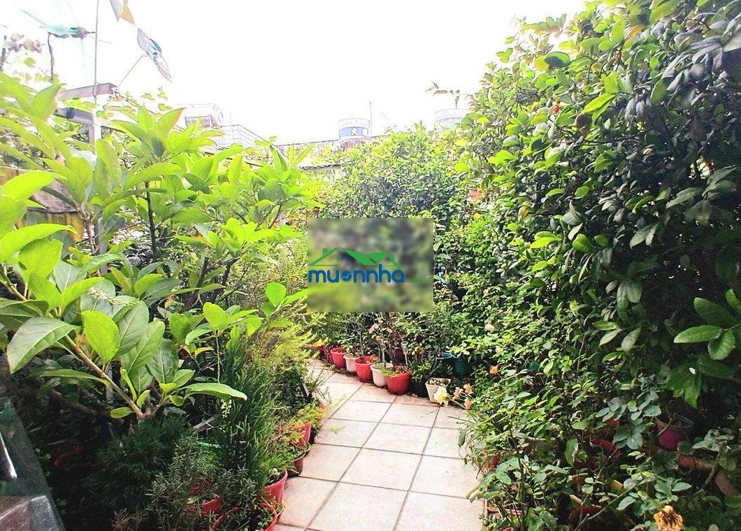 Nhà hẻm 15 nguyễn trãi thông nguyễn biểu q5 dt 37m2 bề ngang 5m ở & kinh doanh shr chỉ 8.45 tỷ - 3