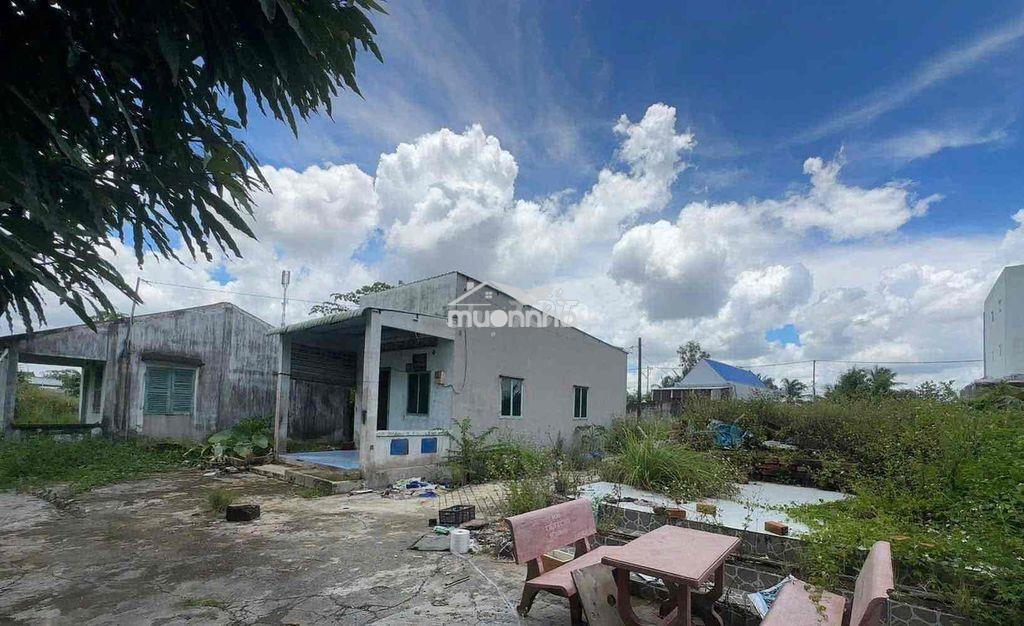 750m2 có 370m2 thổ cư mt đường kênh sáng xã lê minh xuân - 3