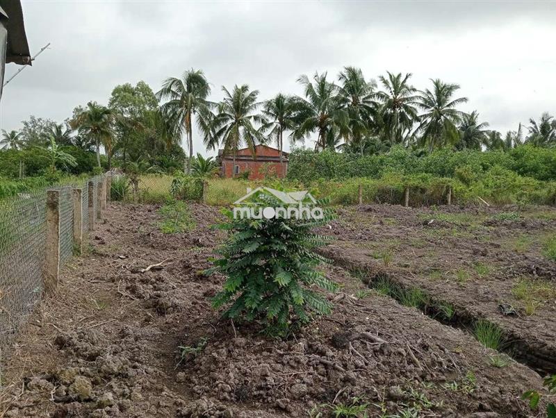 Bán đất bến lức