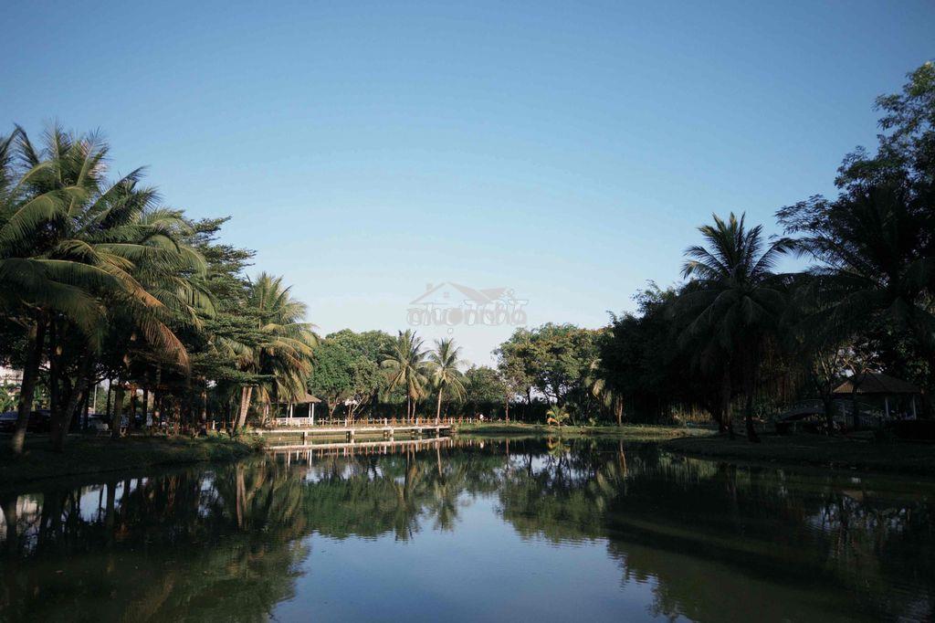 Cho thuê phòng 1pn khu dân cư park riverside 4tr5 có ban công cửa sổ - 4