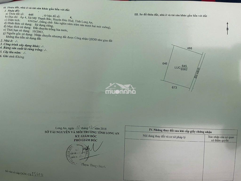 Chủ gửi bán 3 mẫu đức huệ gần đường tân ninh - tân an cbi khởi công - 3