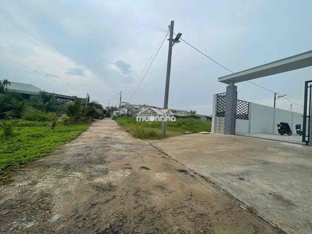 Nhà vườn 500m2 2 pn gần chợ cây dương đức hoà hạ long an (cũ) - 2