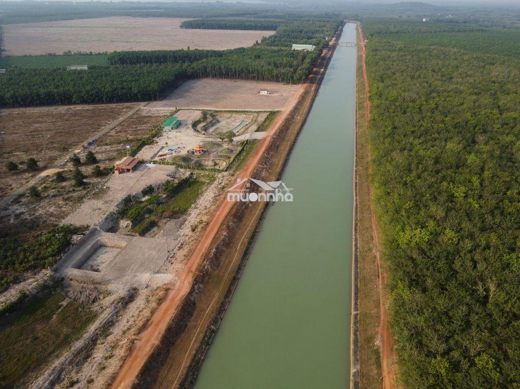 Đất vườn chỉ 650 triệu diện tích 1138.4m2 tại phước minh - lộc ninh - 2
