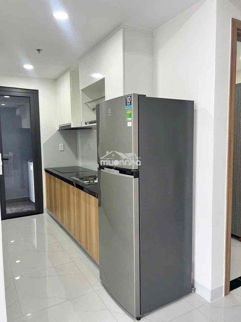 Cho thuê 2pn gần thành phố mới sân golf phú mỹ - 2