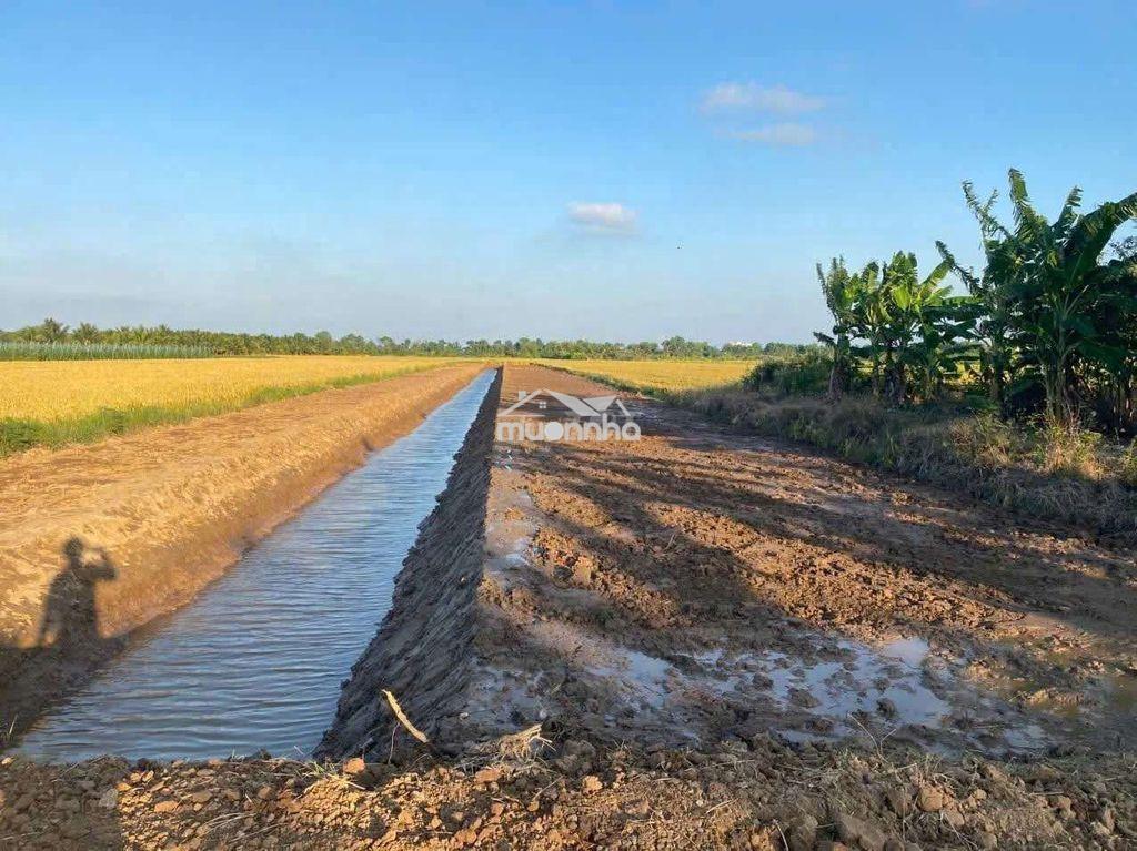 💥 Cần bán 2.657,5m² đất xã ba tri (bến tre)
▪️ ngang 16m - 3
