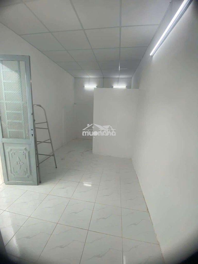 Cho thuê nhà trọ có phòng dưới đất cho nuôi chó