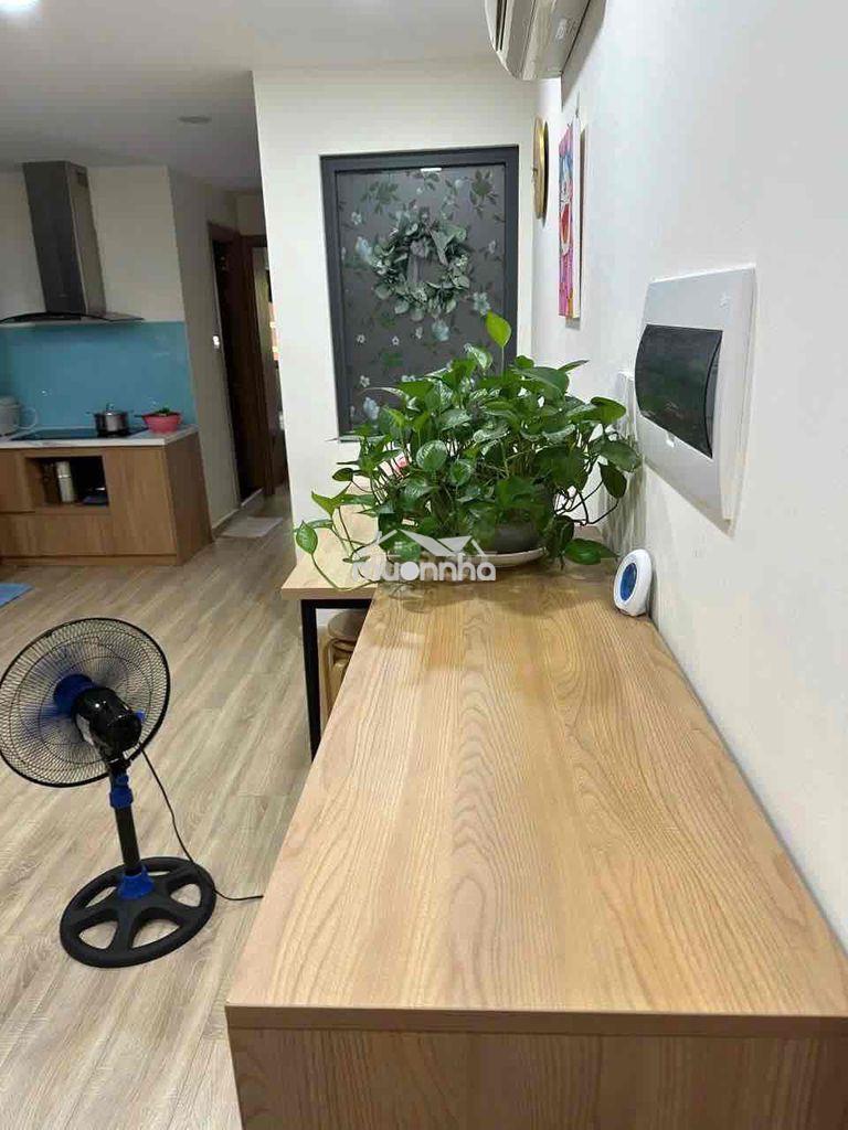 Bán gấp căn hộ bàu cát 2 (thang bộ) 41m2 1pn-1wc full nội thất, có sổ - 2