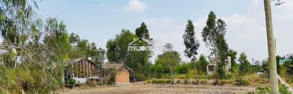 Bán đất vườn chính chủ giá rẻ - 3