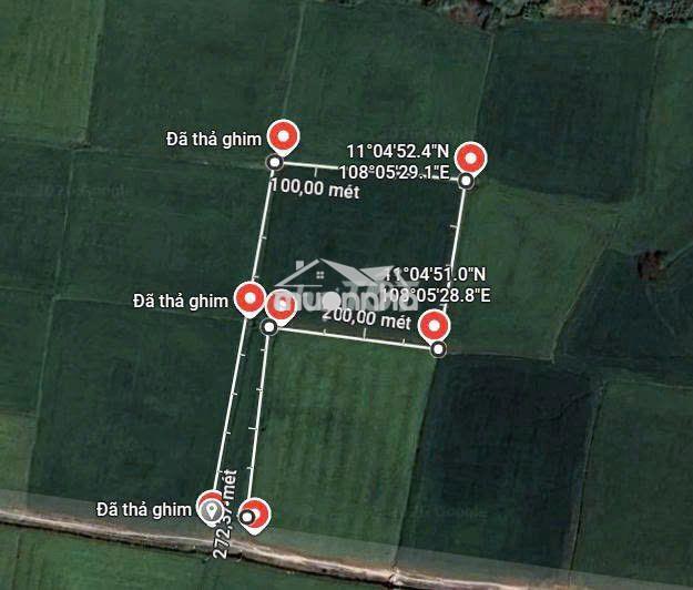 Chính chủ - đất nông nghiệp sổ riêng 2324m2 cần bán thu hồi vốn - 2