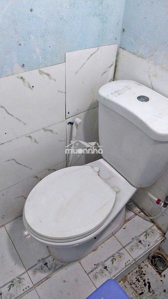 Cho thuê phòng dưới đất giá rẻ, giờ giấc tự do