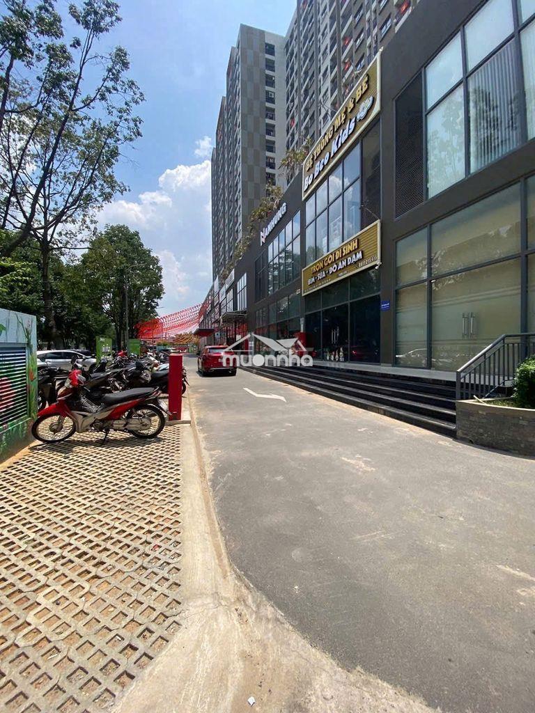 Cho thuê 2 căn chung cư a6a7 phường trấn biên giá 8 và 9 triệu