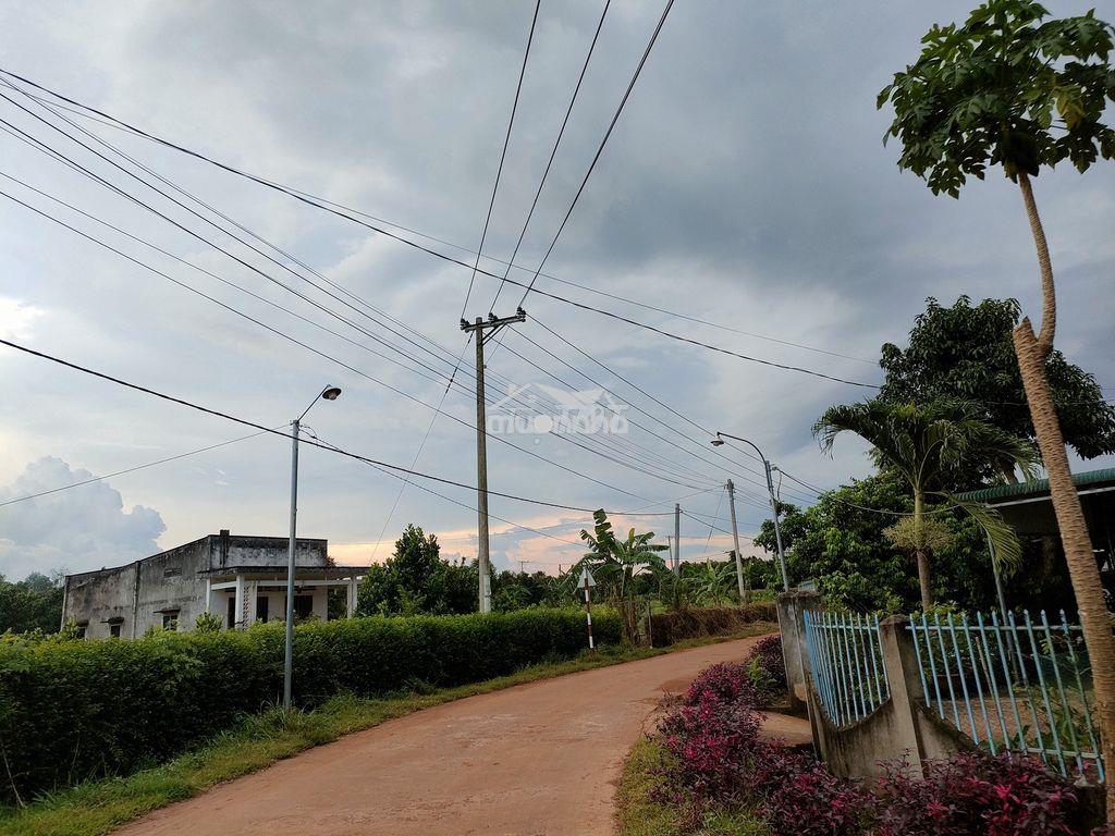Bán nhanh 1000m2 chỉ 590tr đường ô tô gần trung tâm xã suối nho - 4