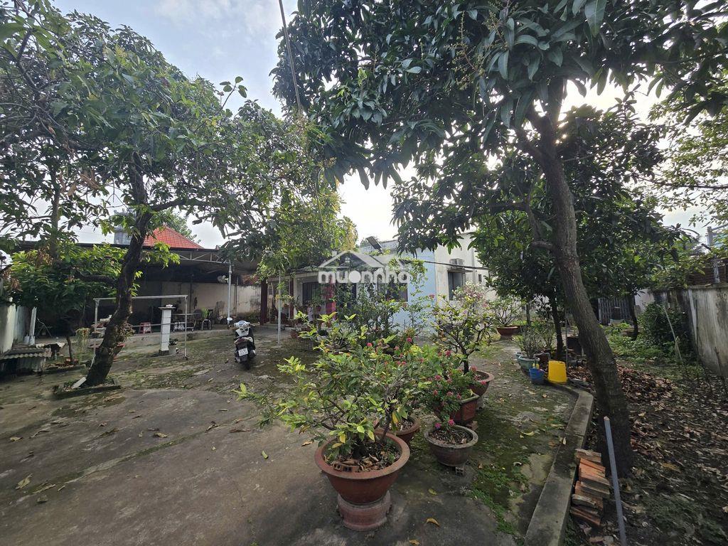 Bán đất chính chủ . - 2