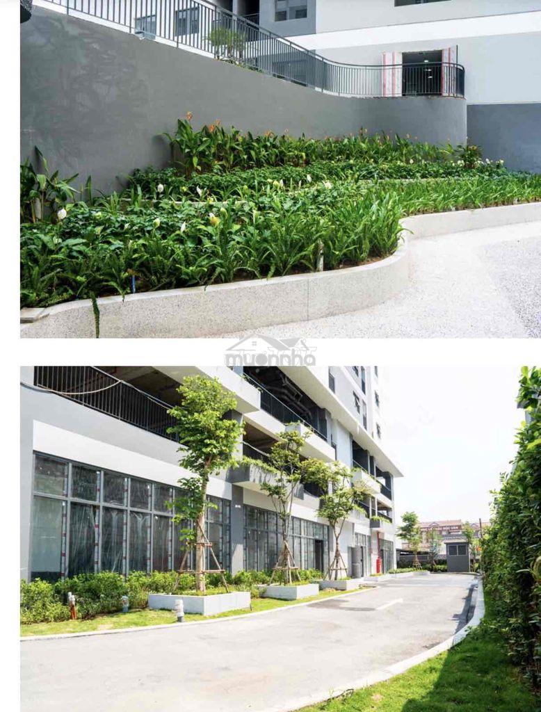 Chính chủ cần bán gấp