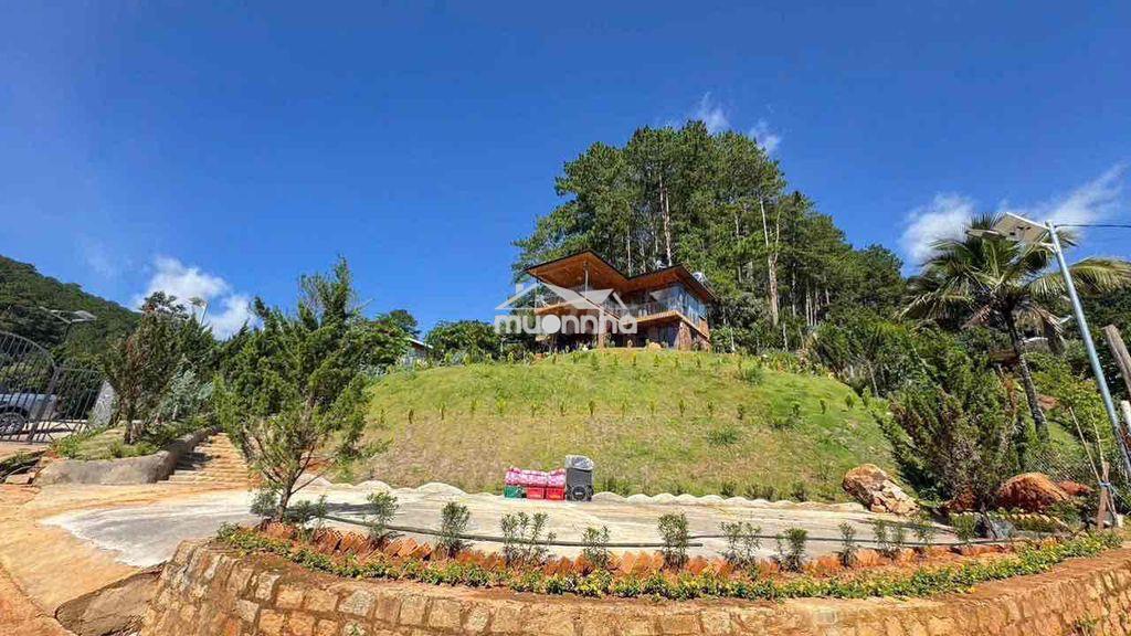 Cho thuê villa gỗ view 360 độ siêu đẹp -p3 dalat -diện tich : 1000m2 - 3