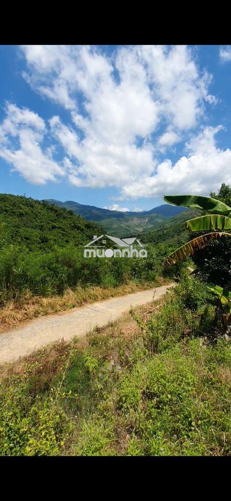 Gần 2000m2 rẫy mặt tiền bắc nha trang – view núi, suối tự nhiên – ôtô