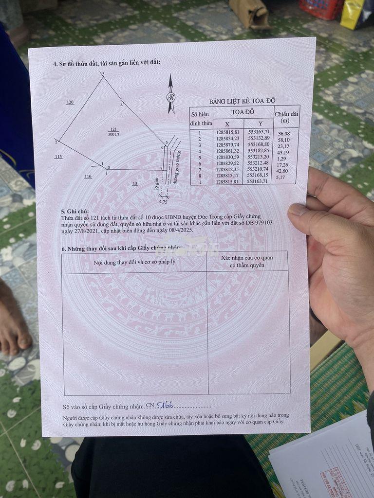 Đât trồng cây lâu năm - 2