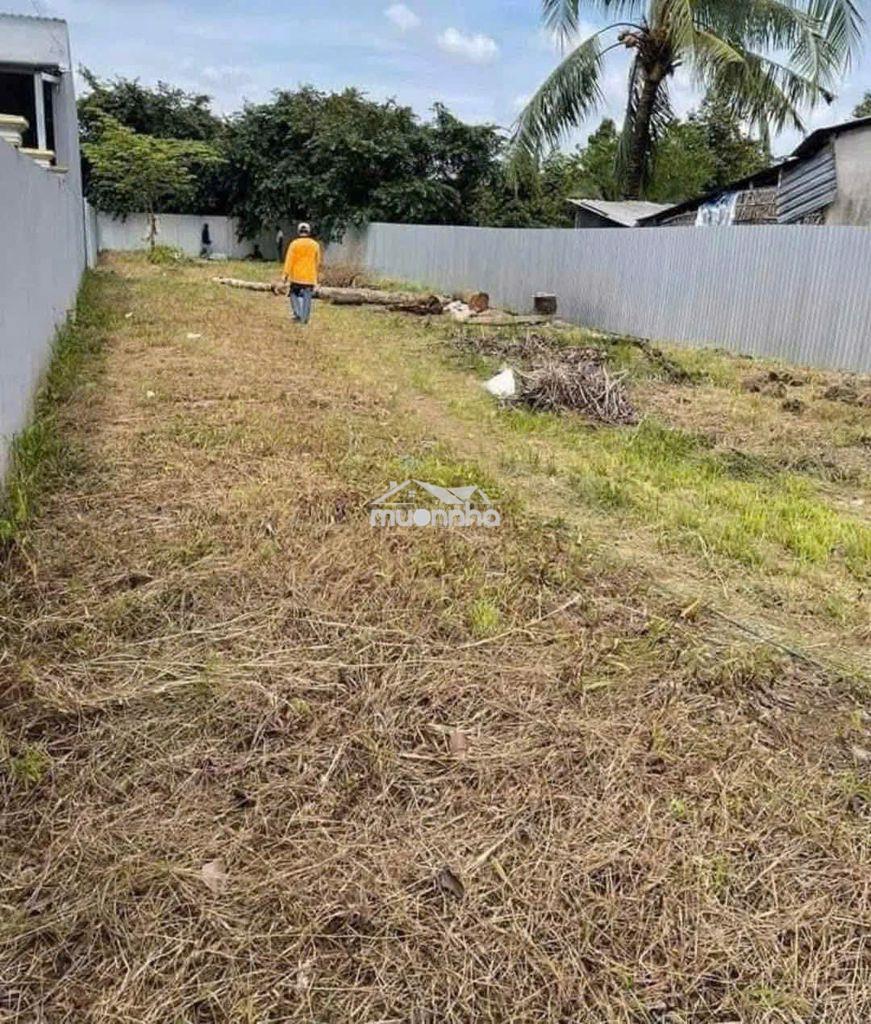 Cần gom tiền mua nhà trên phố, em rứt ruột gả lô 300m2 - 3