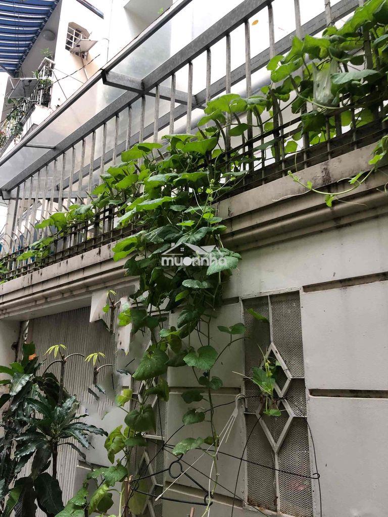 Hiếm trong phân khúc - khu hồ biểu chánh - (4.5 x 15.5m)