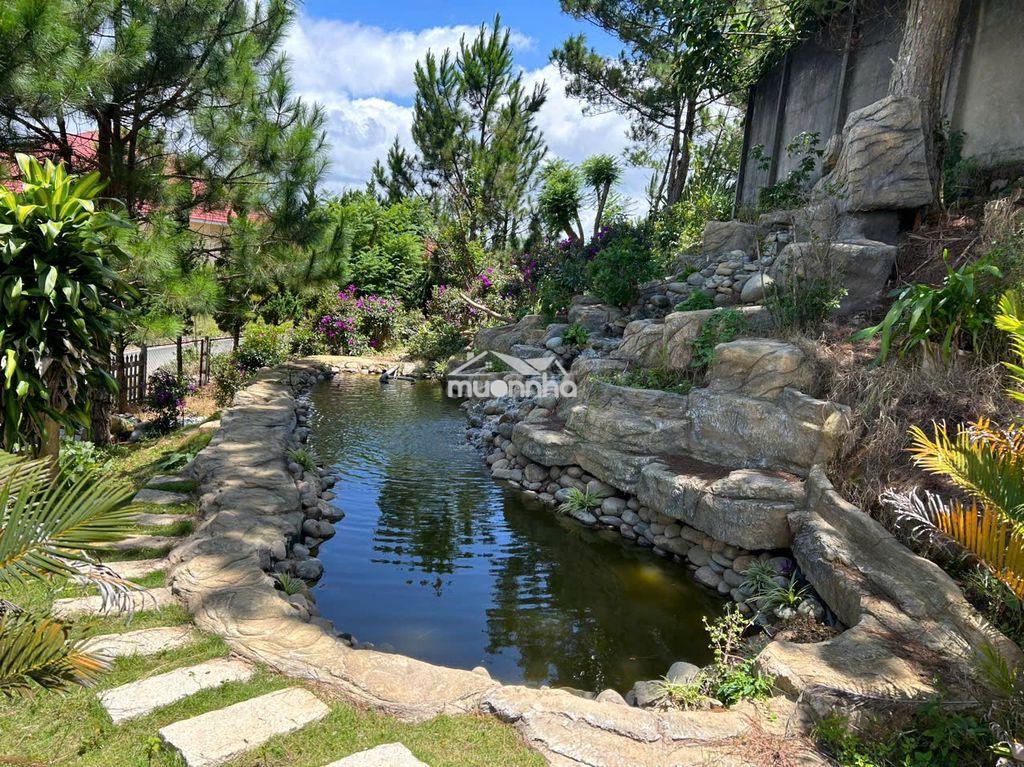 Bán villa sân vườn rộng trung tâm tp đà lạt - 3