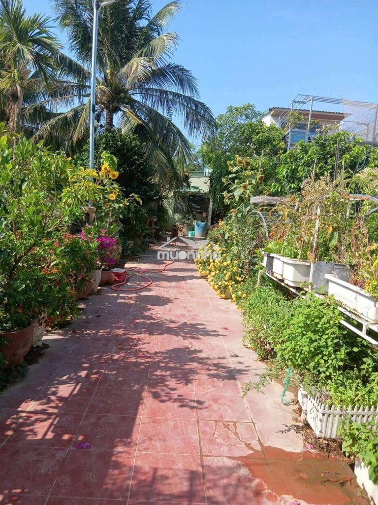 Đất vườn có thổ cư - 2