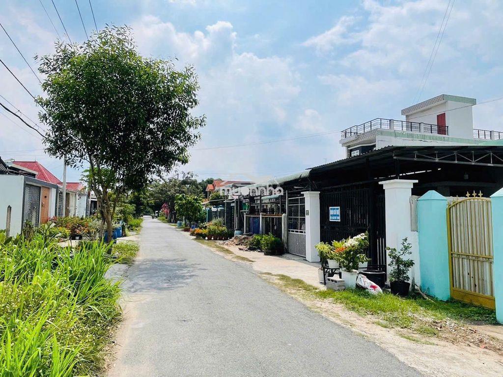 Ngộp lô đất đối diện bò tơ hồng đào xã tân thông hội, củ chi - 2
