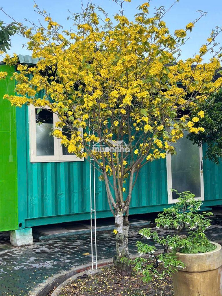 Phòng trọ  100m gần nhi đồng bình chánh tân nhựt tphcm - 2
