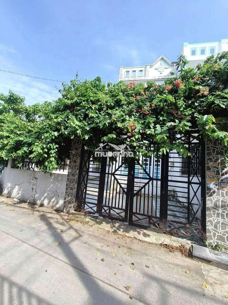 Nhà sân 2 xe hơi ttt - 2