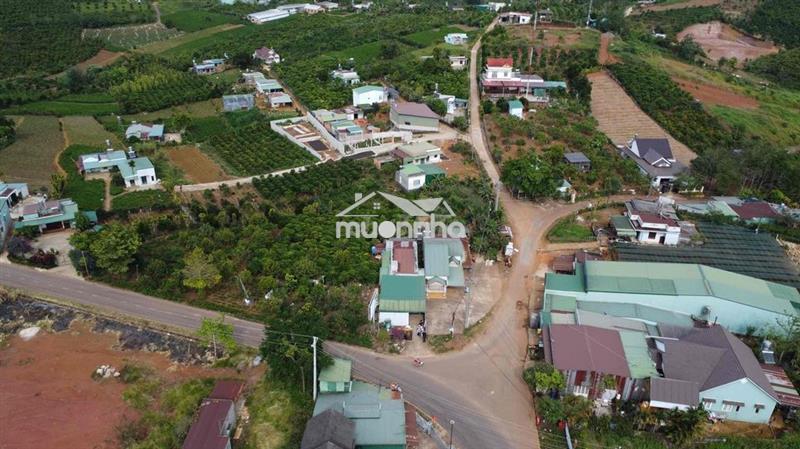 Bán đất mặt tiền tp bảo lộc
