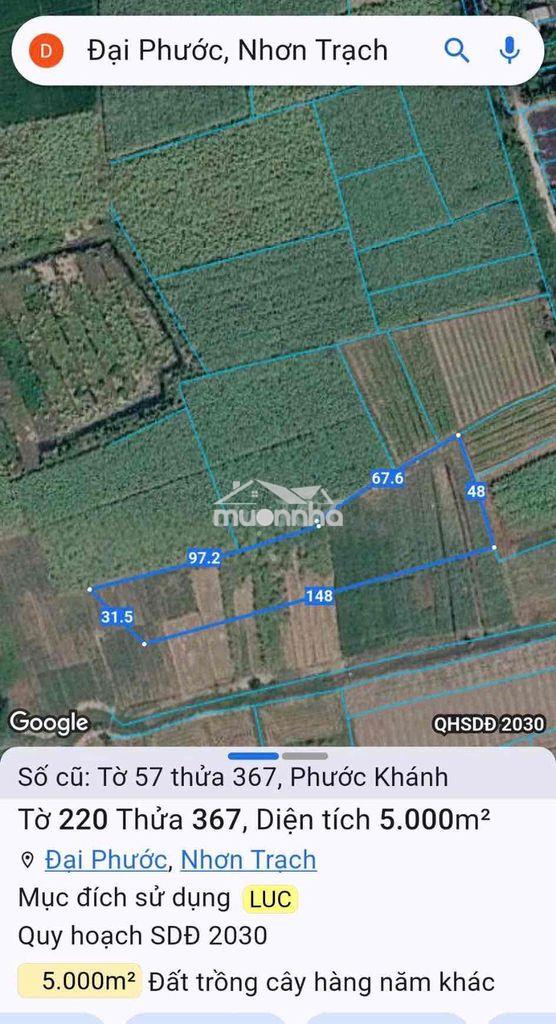 🔥 Bán gấp 5.000m² đất mặt tiền đường liên cảng – phước khánh (đại