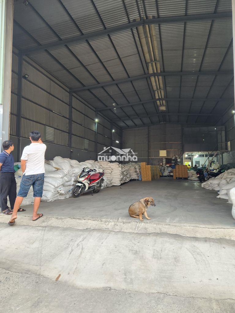 Cho thuê nhà xưởng 360m2 vừa hết hạn hợp đồng tại phường an phú đông  - 3