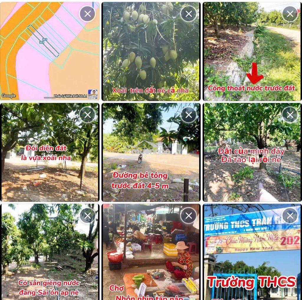 Đất nền thổ cư - 4