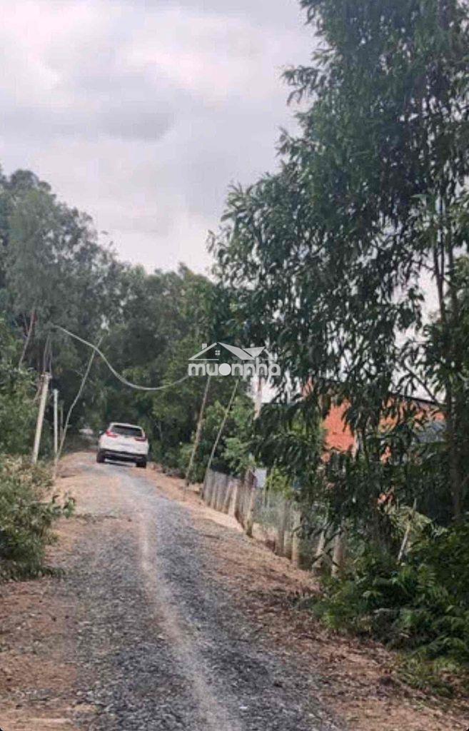 Bán đất đường nam kênh 3 đã có sẵn 300m2 thổ cư - 3