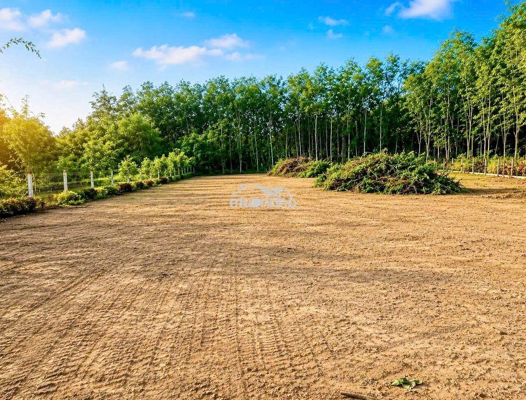 🔥1.200m² đất góc 2 mặt tiền – giá chỉ 2 tỷ - 2