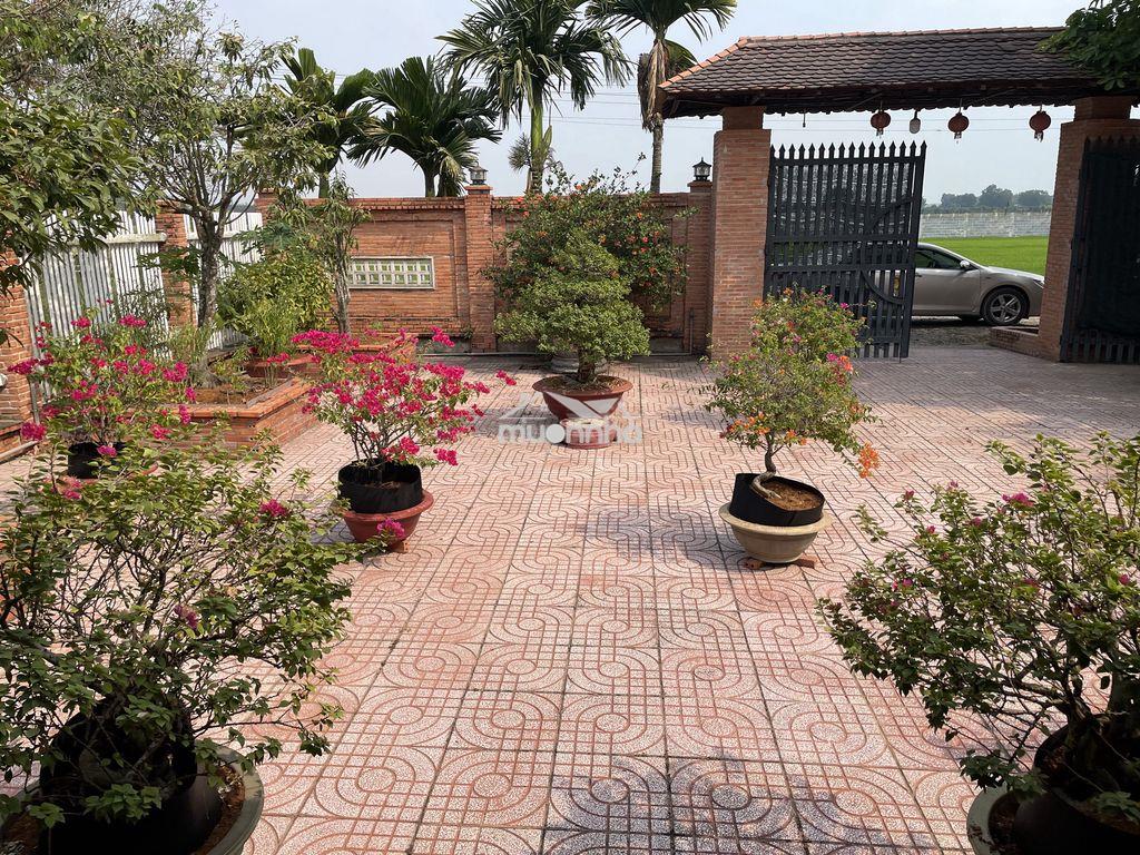 Chính chủ cần bán gấp - 4