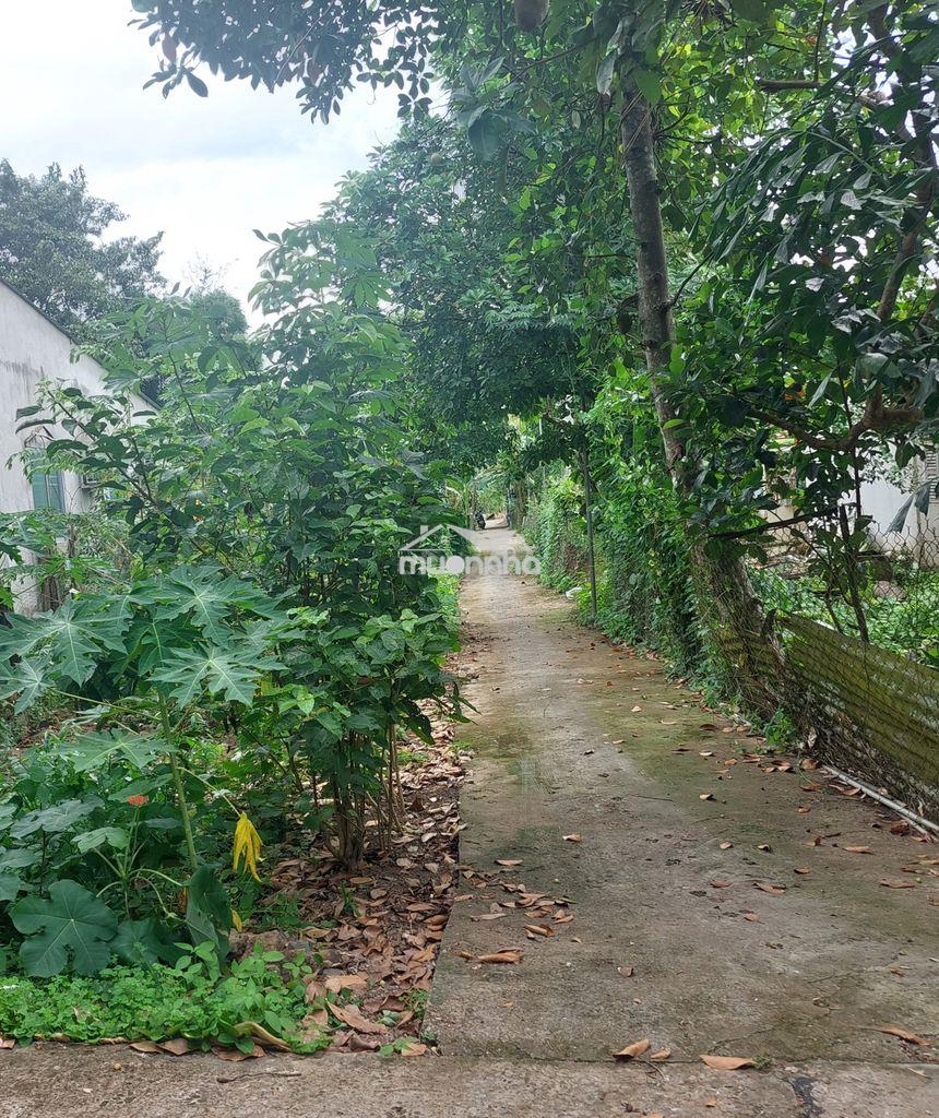 🏡 Cơ hội sở hữu nhà vườn gần trung tâm tp. sa đéc – đồng tháp - 2