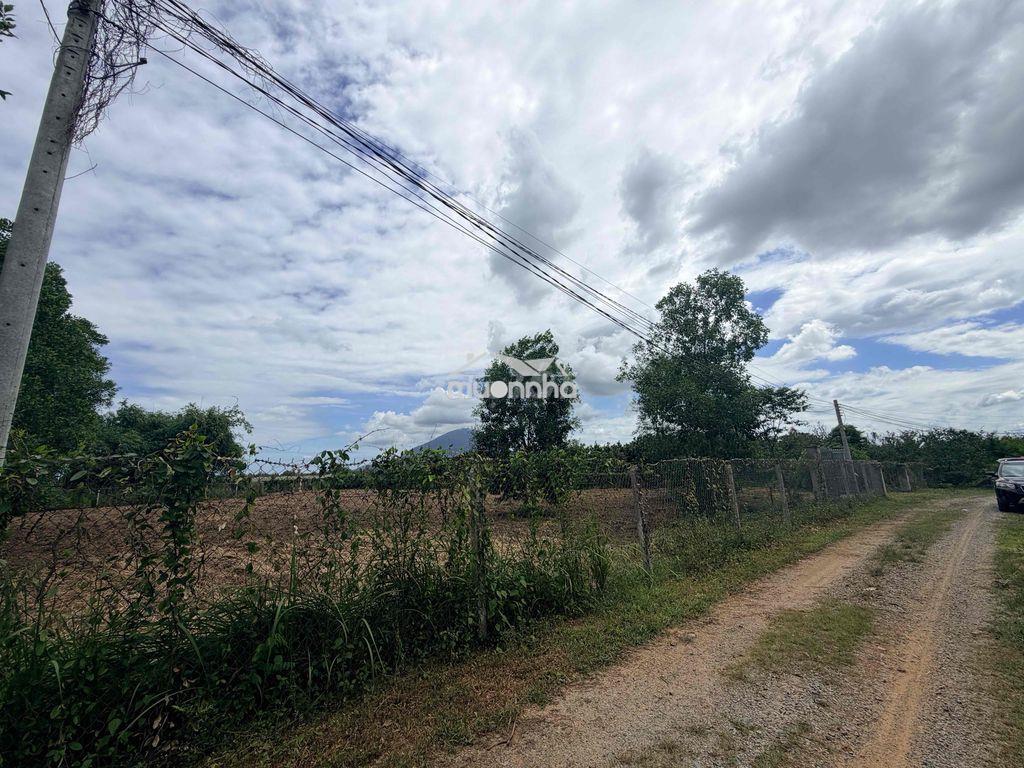 Bán 2700m2 đất sổ riêng p. ninh thạnh tây ninh - 2