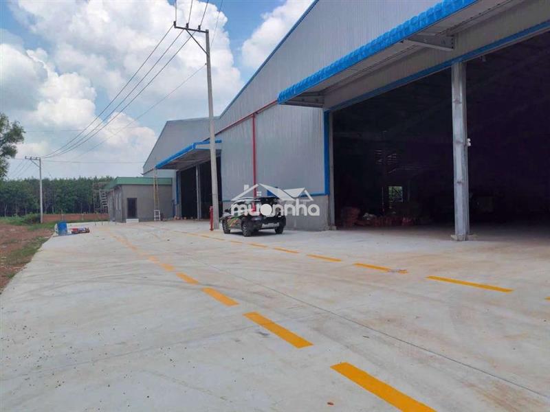 Cho thuê xưởng phú giáo bình dương
