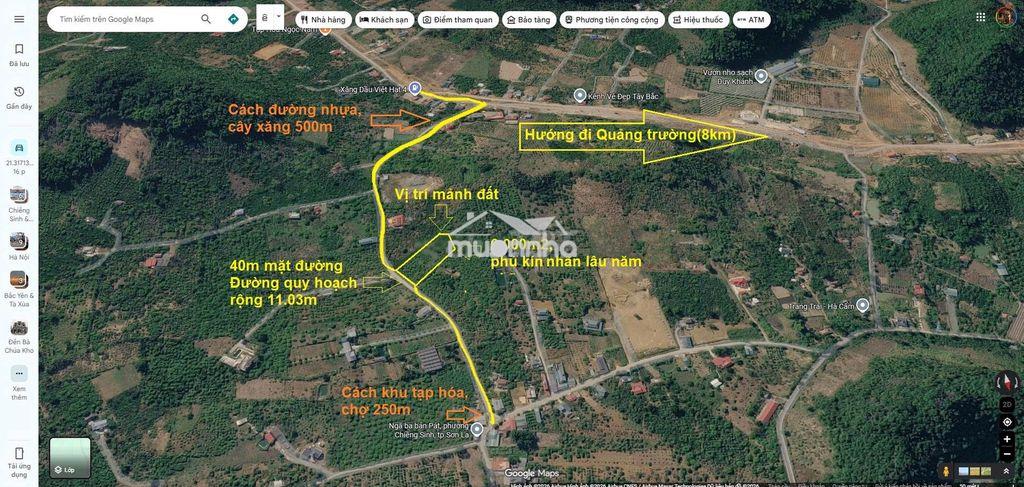 Chuyển nhượng 6.000m² vườn bản pát, chiềng sinh - 2