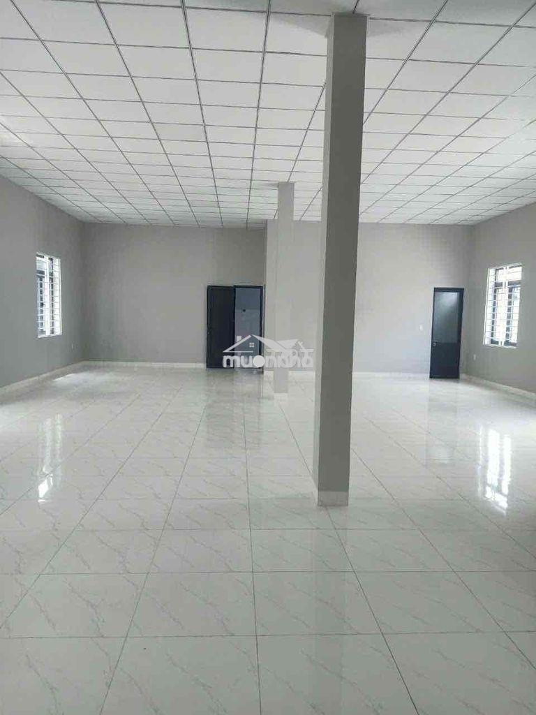 Mbkd - showroom - văn phòng ngay vòng xoay tân hiệp - 3