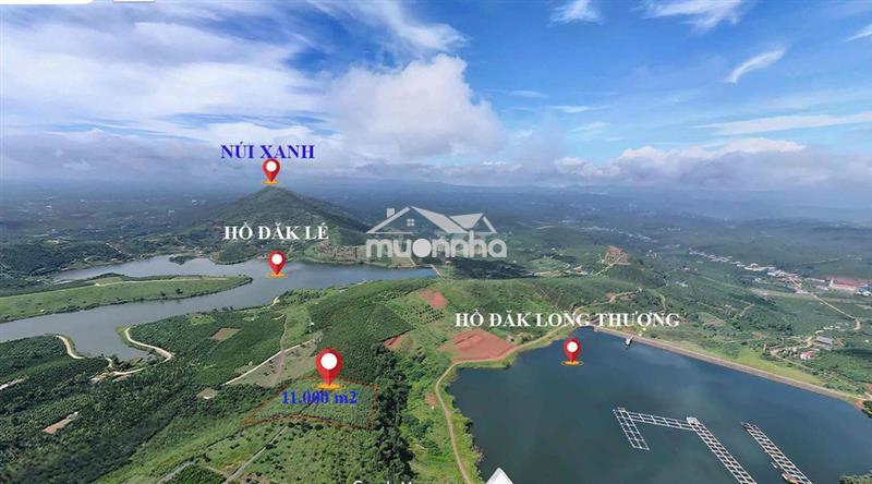 Cần bán mảnh vườn 11.000m2 view hồ cực đẹp
