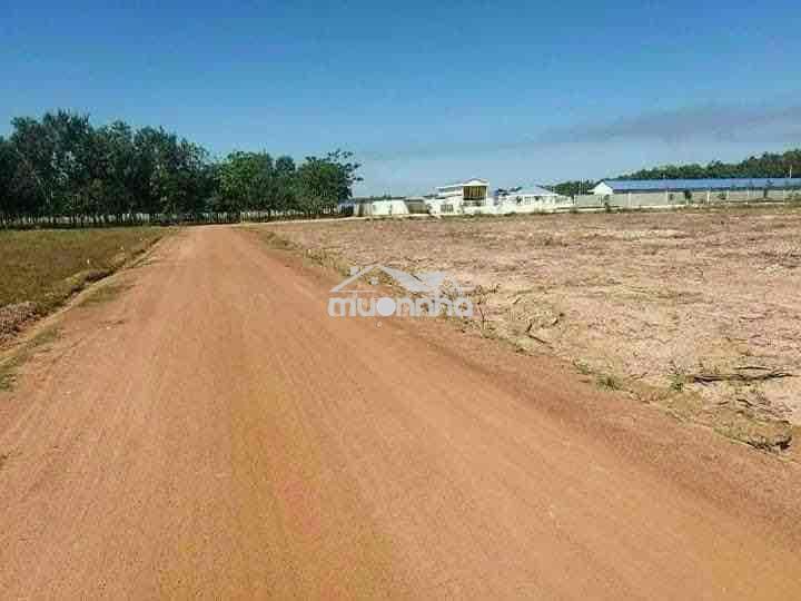 4000m2 tiện làm kho xưởng bán gấp 490tr sổ riêng