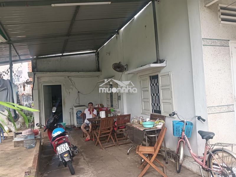 Cho thuê nhà vườn đa năng 4 trong 1 (ở+kinh doanh+kho+nông trại)_318m²