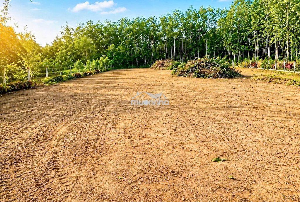 🔥1.200m² đất góc 2 mặt tiền – giá chỉ 2 tỷ - 3