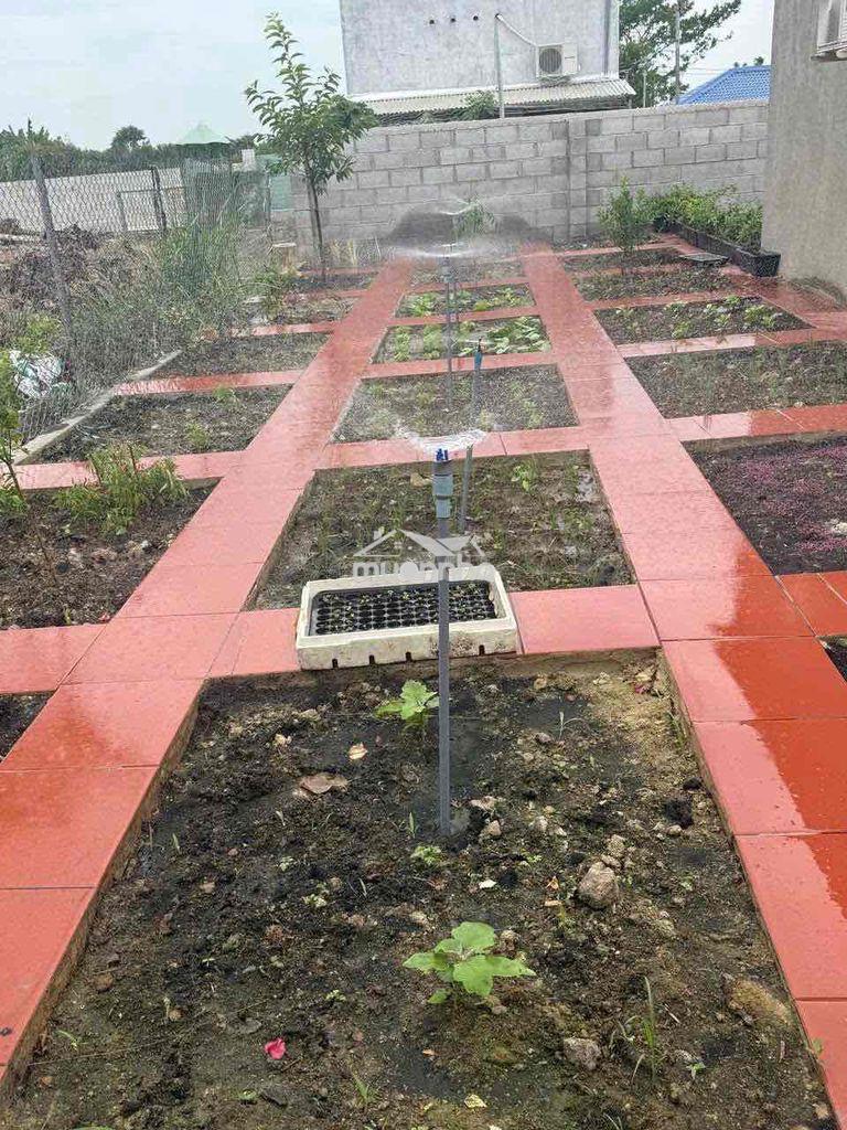 🏡 Nhà vườn nghỉ dưỡng cao cấp ngay trung tâm phường long khánh - 4