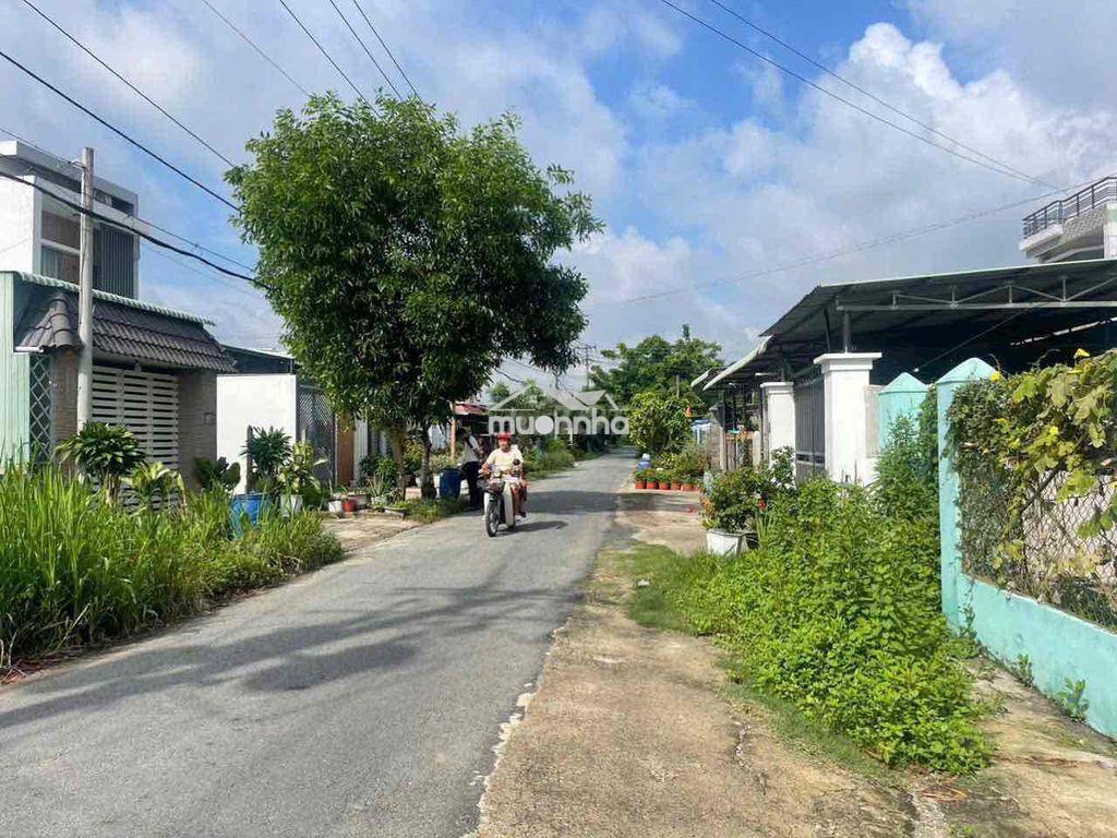 Bán đất mt nhựa tân thông hội củ chi 252m2 thổ cư giá 780 triệu - 3