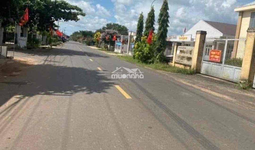 Đất thổ cư giá rẻ - 2
