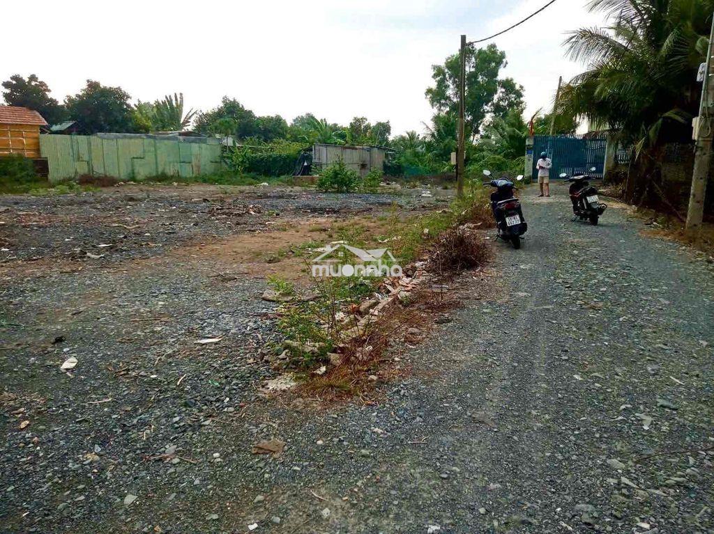 Bán đất nền đường xóm hố xã tân kiên củ ( tân nhựt mới) - 3