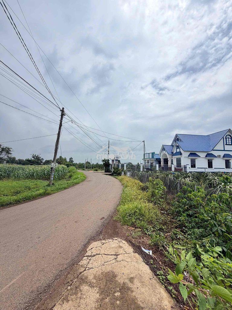 480tr/ lô nhựa cẩm mỹ đn - 2