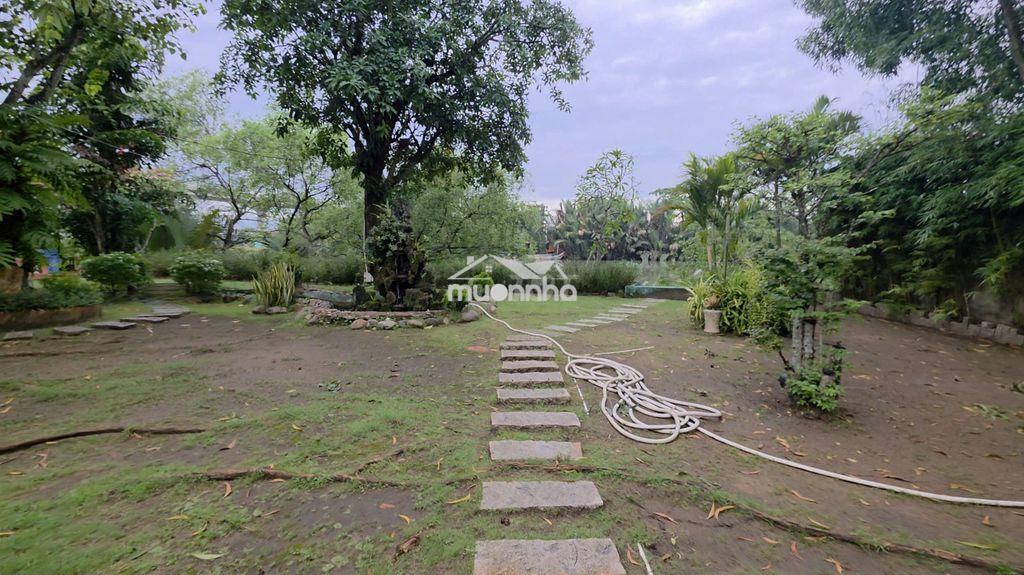 Siêu phẩm nhà sàn sân vườn - 3
